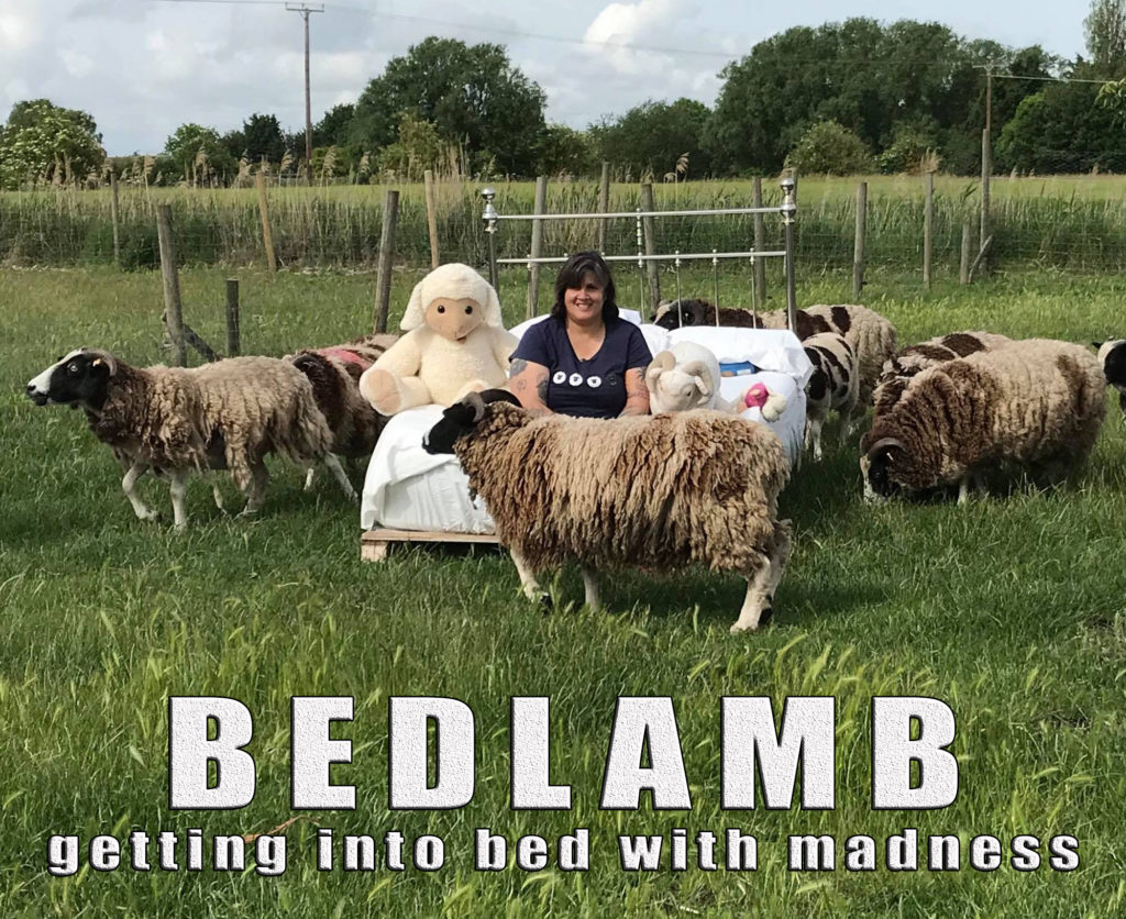 Dolly Sen sitting on a bed in a sheep field surrounded by sheep. The title is: BEDLAMB